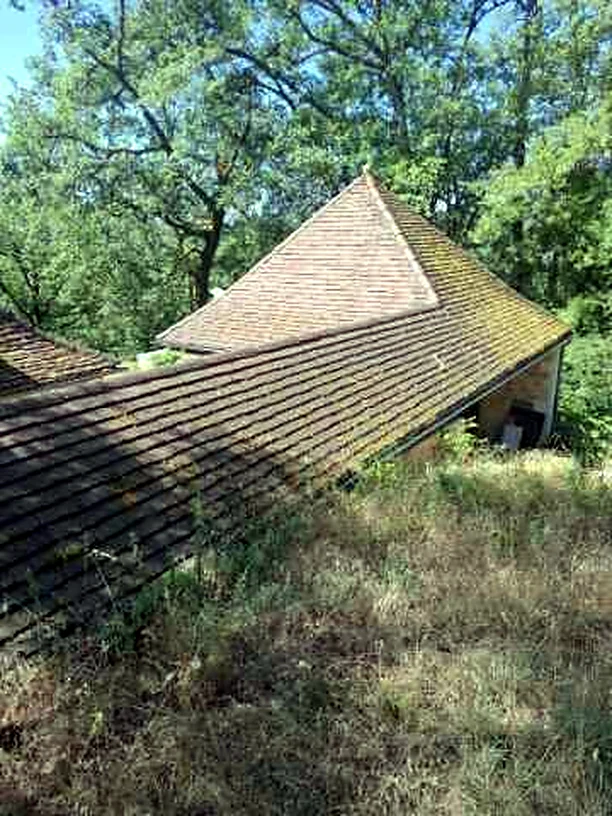 Toiture couverte de mousses avant entretien près de Cahors